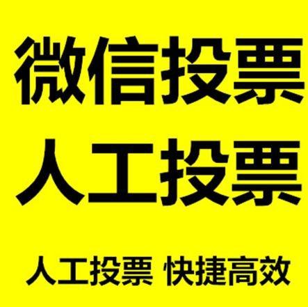 宜春市投票活动拉票能被查出来吗？如何操作能不被发现？